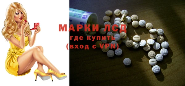 стаф Елизово