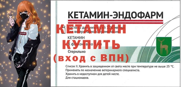 стаф Елизово