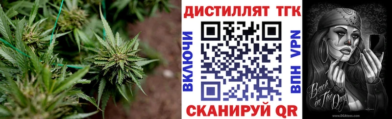Дистиллят ТГК Wax  хочу   МЕГА ссылки  Приморск 